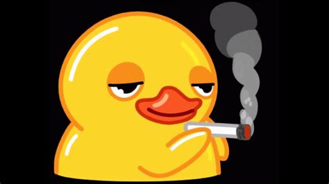 duck smoking gif|duck smoking twitch emote.